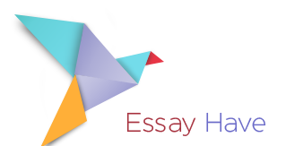 essay have