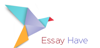 essay have reviews